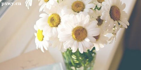 �м���ƿ��Իᷢ�ݸ�ֽ��