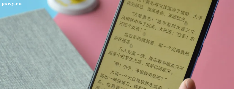 ���ӳ��Կ�С˵��ô�죿