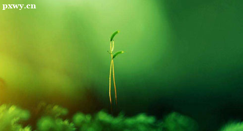 �������С����������