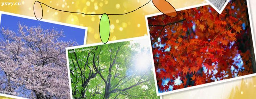 Ӣ¸ʲôѧϰӢıҪԣ