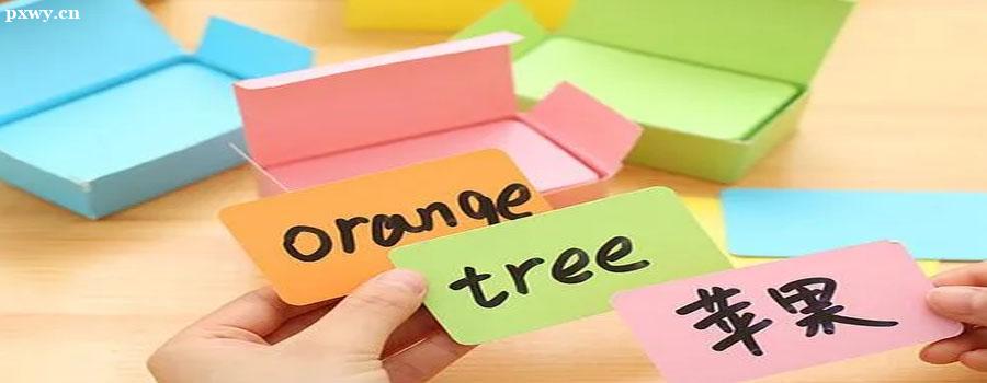 �и���ʲô?SAT,�и�����˼��ʲô����