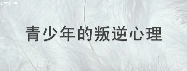 ���������������ԭ����ʲô��