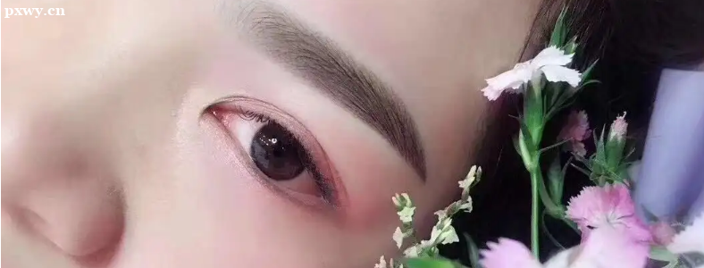 �����ĸ�ѧУ������ѵ�ã�