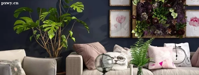 ��װ���ʦ��ʲô������