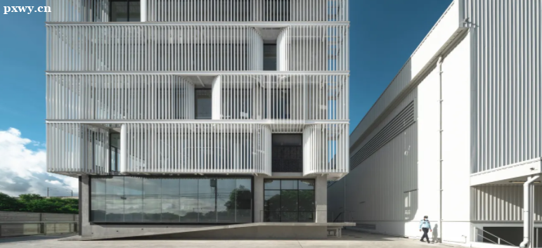 ̸̸Ů��ѧ����ѧ��ҵ��������Щ