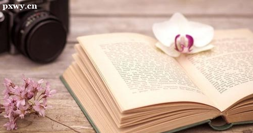 ��˼������������