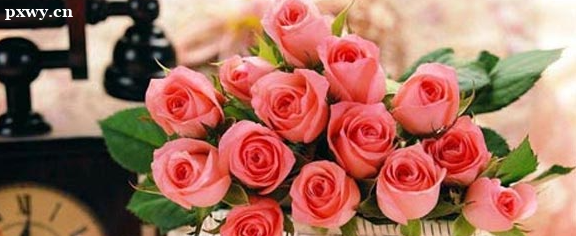���������ڲű������� ��߿ڲű���������ʲô����