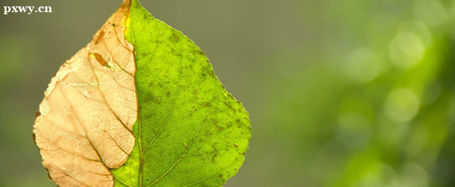 һ��ע����������ʦ֤�鱨������ ��ҵ������