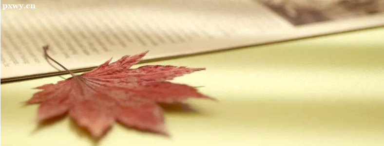 ���˸߿�ר��������Щ��Ŀ