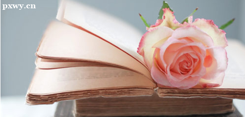 PMP®���Է������У���ô���Լ��ǵڼ�������