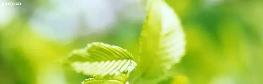 ��������ʦ֤����; ���Դ����ķ��湤��