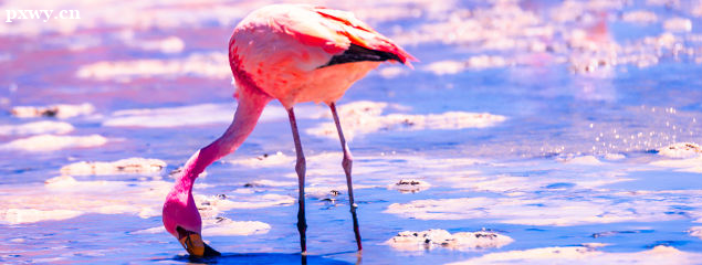 ���ѧ��ƽ����� ��β���ѧ��ƽ�����