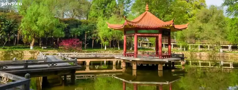 ���пƼ���ѧ�о��������ʸ����������ʲô��