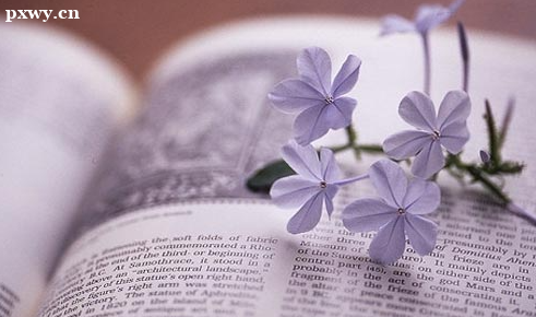 ѧ�ٶ��������Щ��������