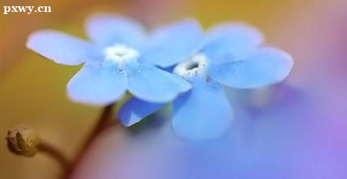 ��������ʦ��������Щְҵ ��ҵ������ʲô