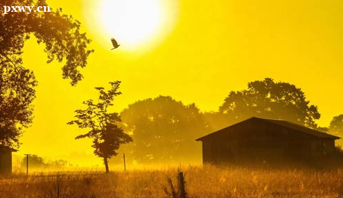 ������ƽ���������