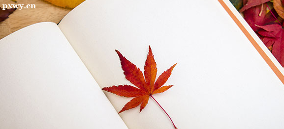 ���ڴ�רѧ���Ƿ񱻹��ҳ��� һ�㱻�Ͽ���