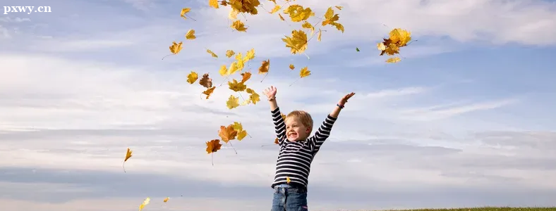 �к���ȱ����ȫ�еı�������Щ��