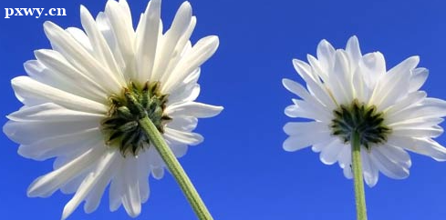 ����������ѯʦ����������ʲô����������