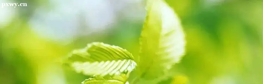 2022��߿�����־Ը �����ͼ�������Щ