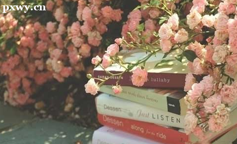 ƽ��־Ը���Ⱥ�˳���� ¼ȡԭ����ʲô