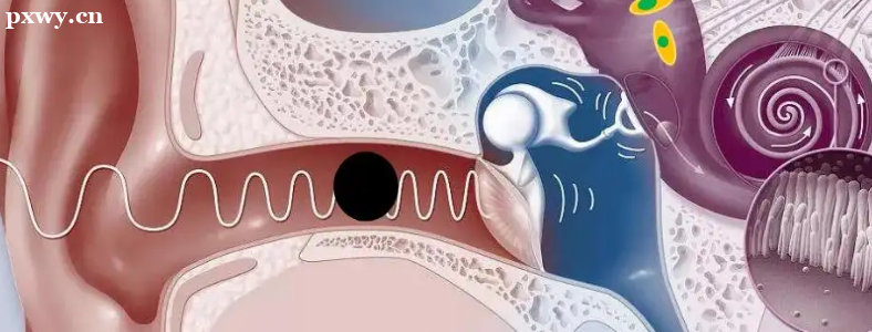 ��ʯ֢ѣ�����κ���