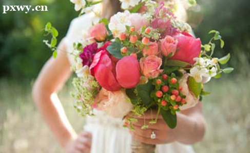 2022������500����������ʲô��ѧ