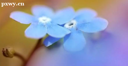 �и�������ô���� ��������