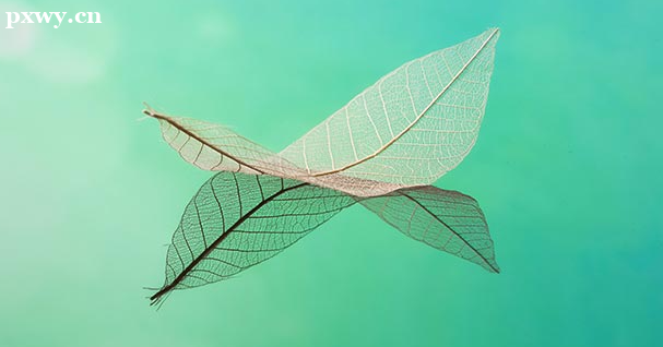 ��ѧƽ����ƴ��������� ��ô��ѧƽ�����