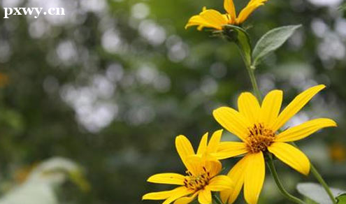 ����������ʦ����;����Щ ��ҵǰ���ò���