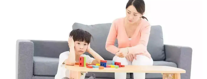 ���ӵĽ�����ĸӦ����ô����