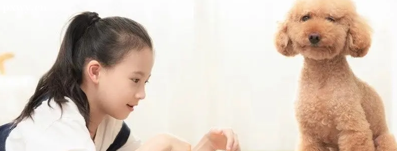 ���ӷ�������ν�����