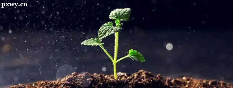 ������ѯʦʲô֤���к�������