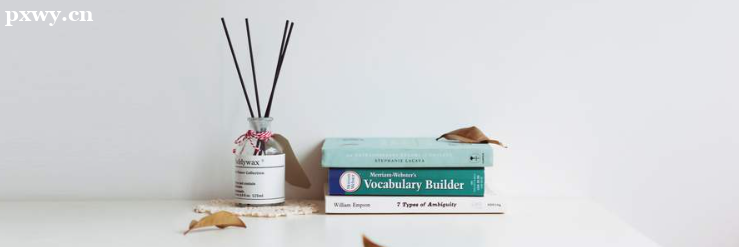 ������������ʦ�ı������� ����������ô��