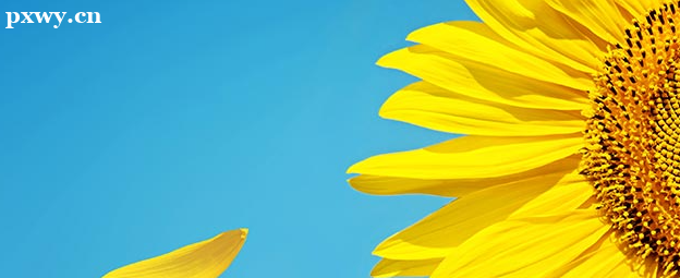 ƽ�����ʦ��������Լ� ��ʲô����