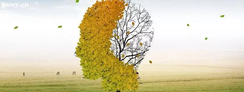 ������ѯʦ�ʸ�֤����ô��ȡ