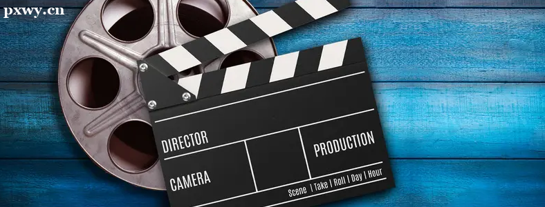 ��Ƶ����������ǰ;��