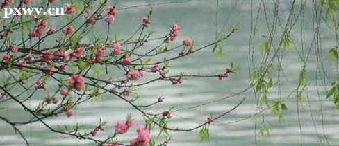 ������������ʦ���ô�Ŷ���Ǯ ��������ʦ��α���