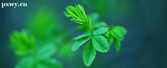 ������������ʦ�ı������� ������������ʦ������Ҫ��