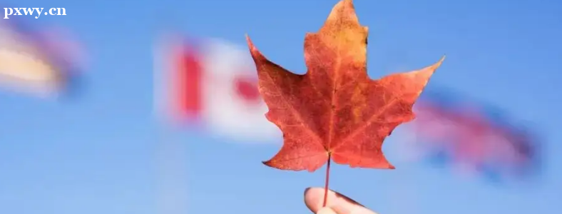 �п�����ѧ���ô������ֵ����