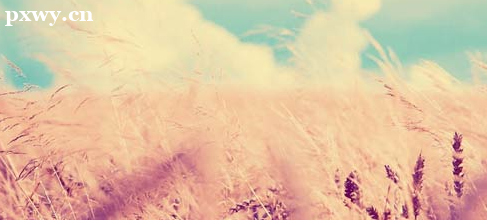 ��������ʦ֤�黹������ ������ʲô����