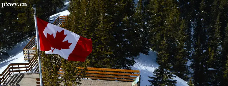 �߿���ȥ���ô���ѧ�����Ƕ��٣�