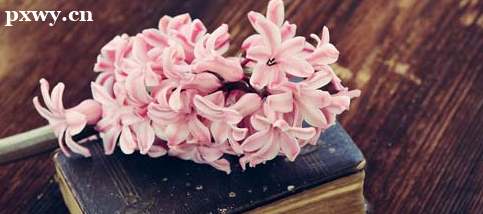 ѧƽ����Ƶ�ǰ����� ƽ�����ѧϰע������