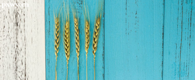 运营的主要分类 运营的工作内容