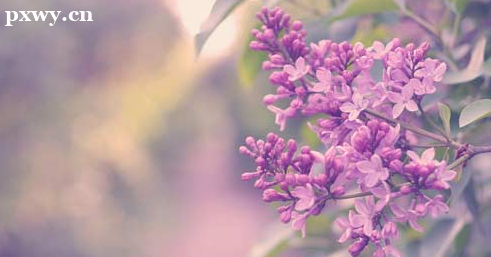 ���˸߿��ñ�ҵ֤������ ��ƾ��ʲô��