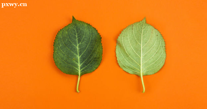 运营助理的工作内容 运营助理的岗位职责