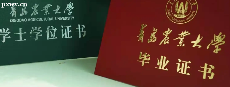 ���˱��Ʊ�ҵ֤���·ݷ���