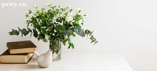 ��������ϵ������Ʒ��� ��������ϵ��ʺ���Ⱥ