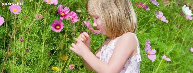 ���ӵ��������������γɵģ�