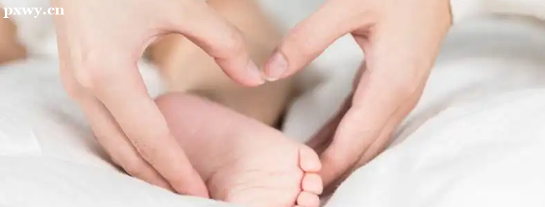 С������ʦ��Ǯ��